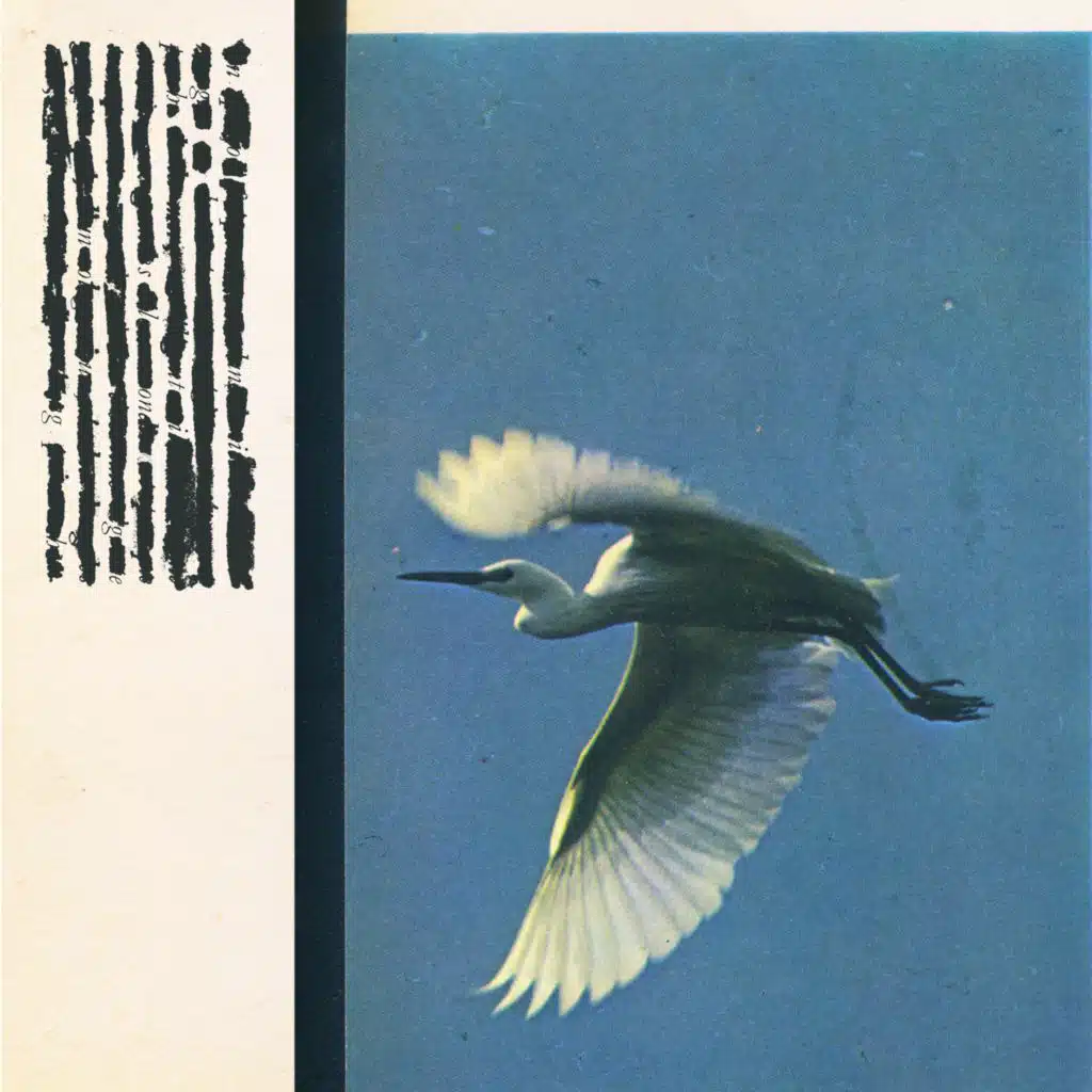 No Night Is Long Enough To Dream Twice