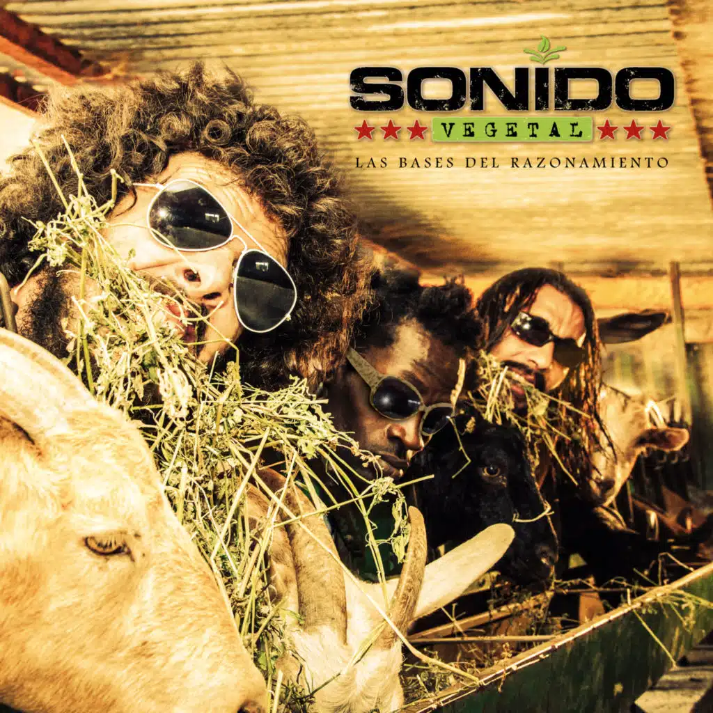 Las Bases del Razonamiento