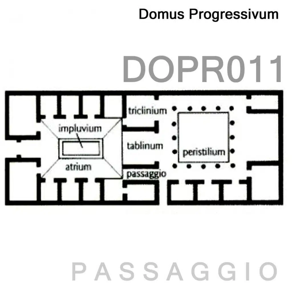 Virago (Original mix)