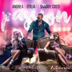 Passion (feat Shaggy & Costi) - Nicola Veneziani Remix