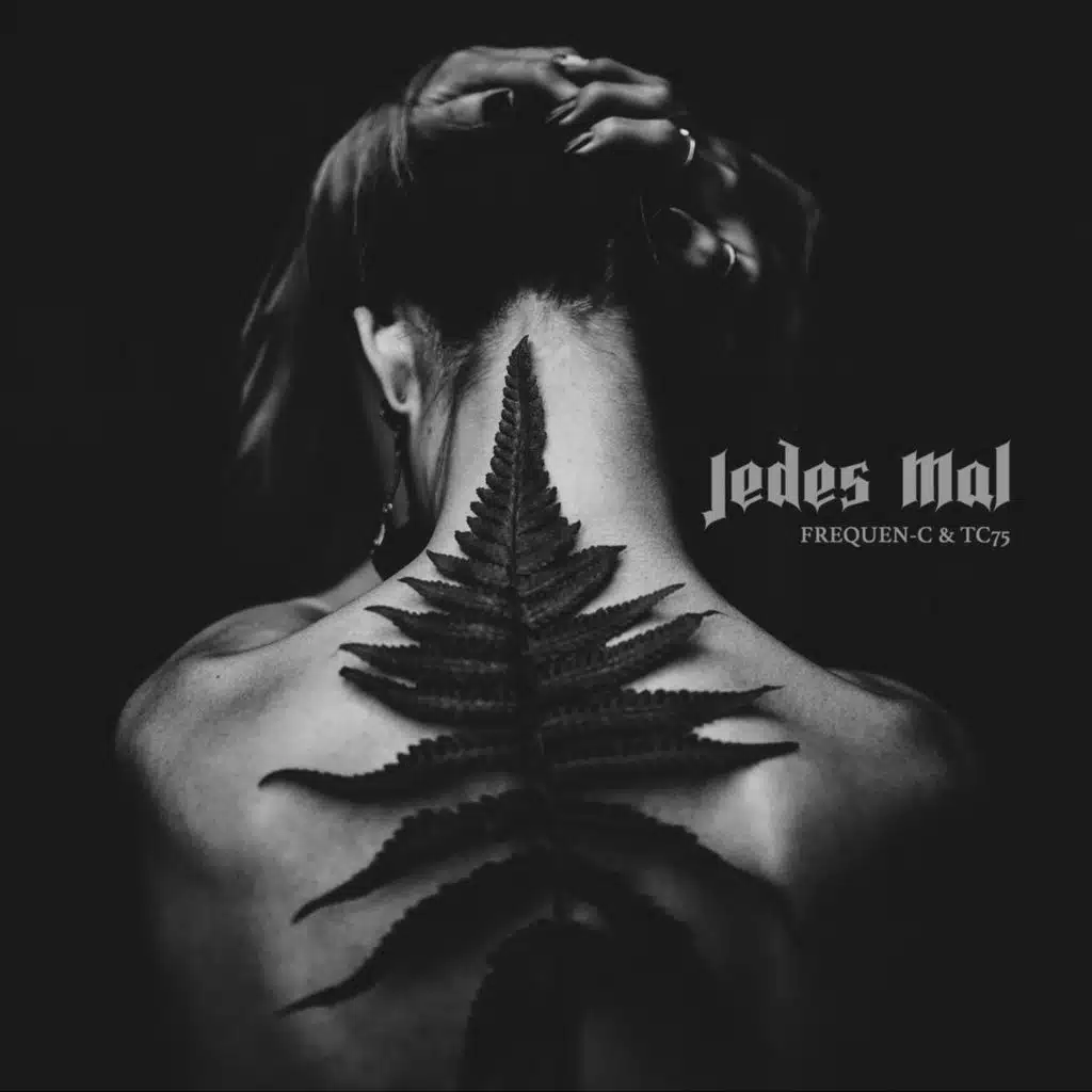 Jedes Mal (feat. Ultrasol)