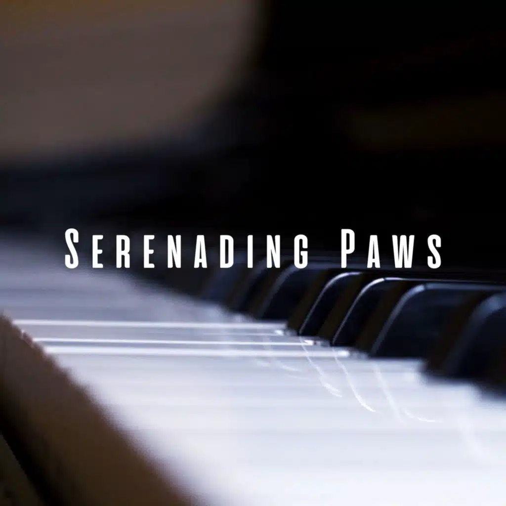 Piano Ballad for Four-Legged Friends