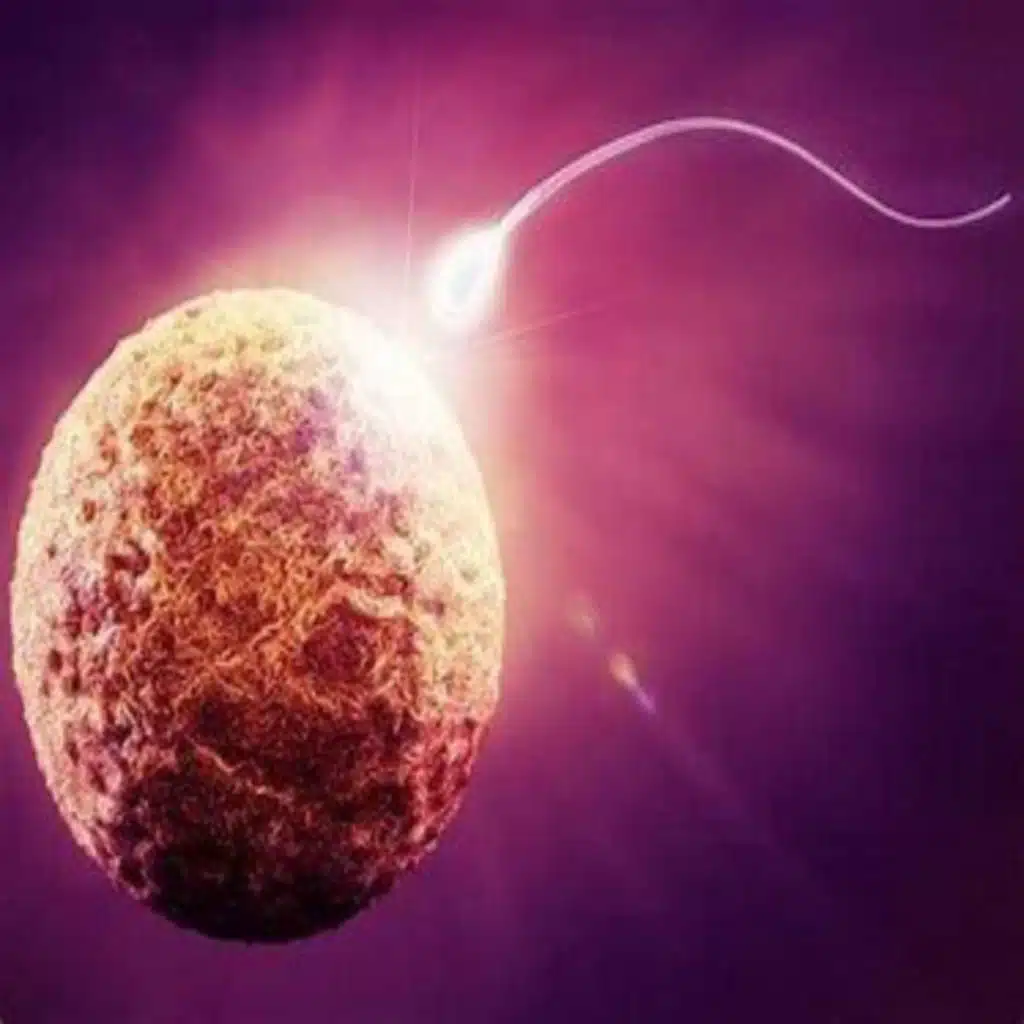 Episode 350: THE THEOLOGY OF CONCEPTION, Part 2