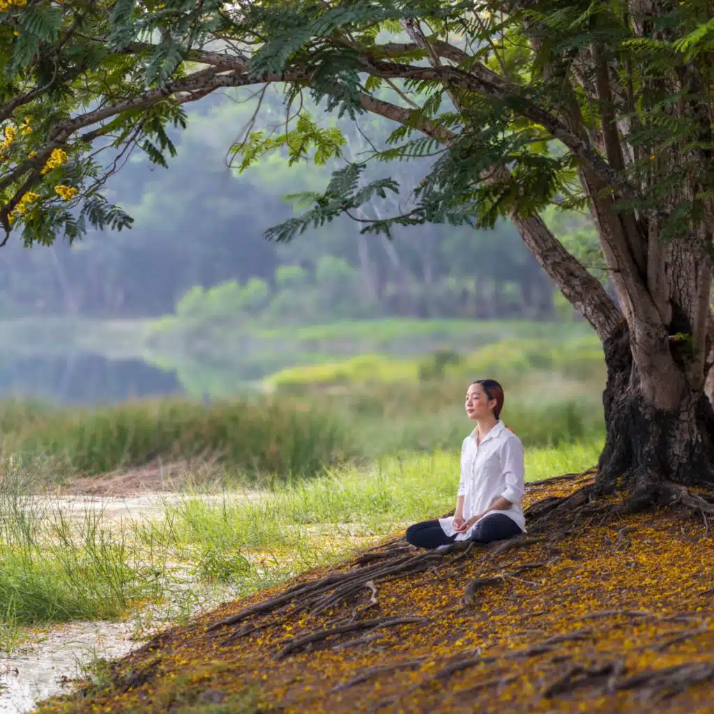 Healing Meditation Music for Pure Relaxation