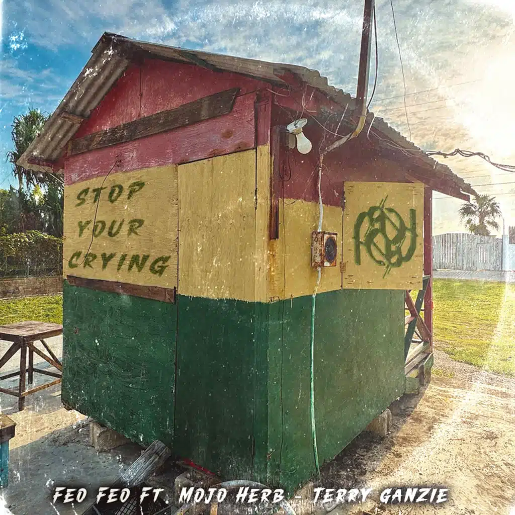 Stop Your Crying (feat. Mojo Herb & Terry Ganzie)