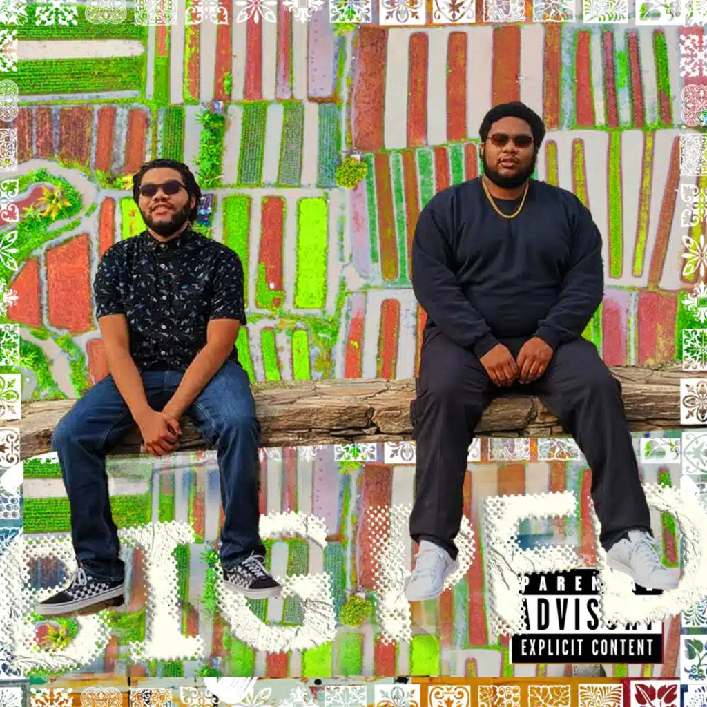 From the Stix (Radio Edit)