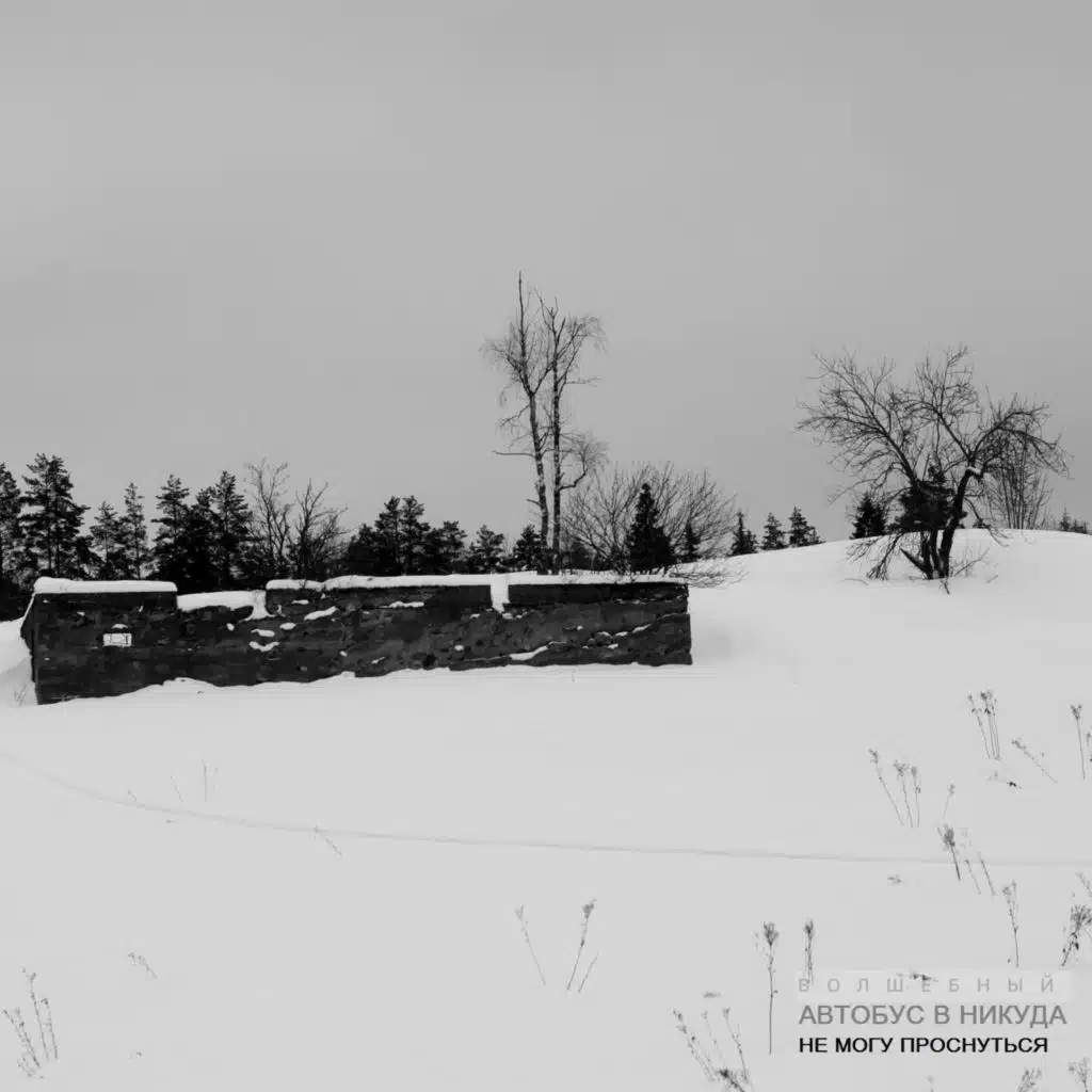 Не могу проснуться