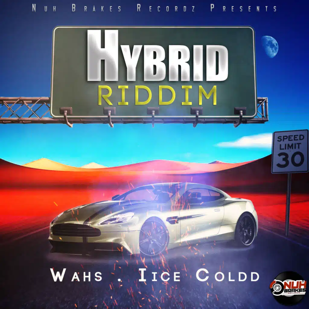 Hybrid Riddim