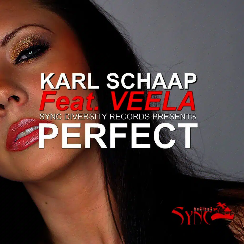 Perfect (feat. Veela)