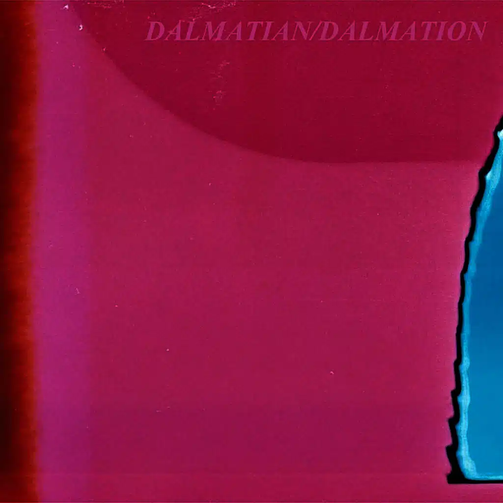 Dalmatian/Dalmation