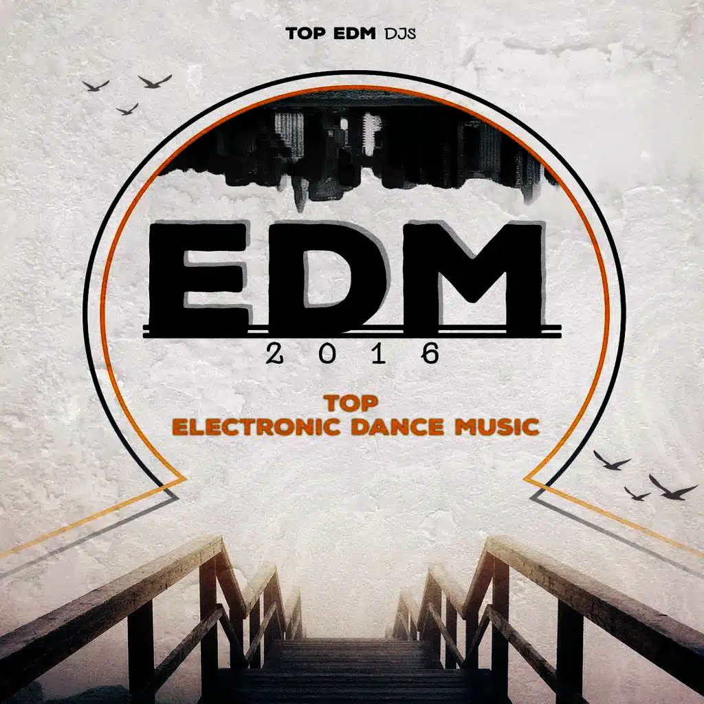 Top EDM DJs
