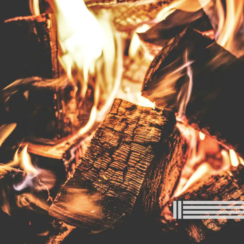 Campfire In The Woods