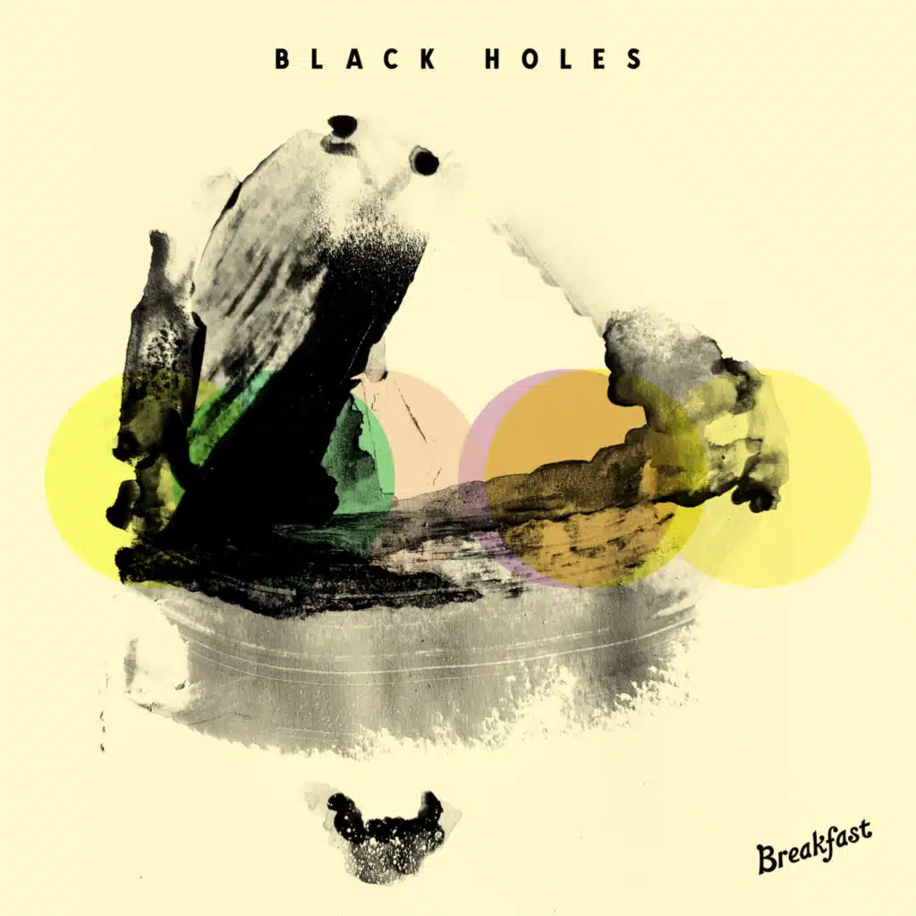Black Holes
