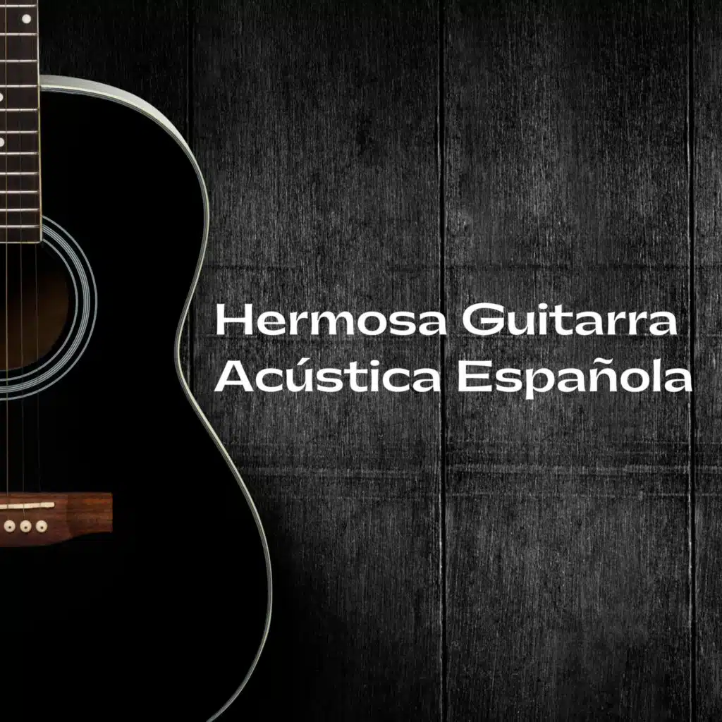Hermosa Guitarra Acústica Española