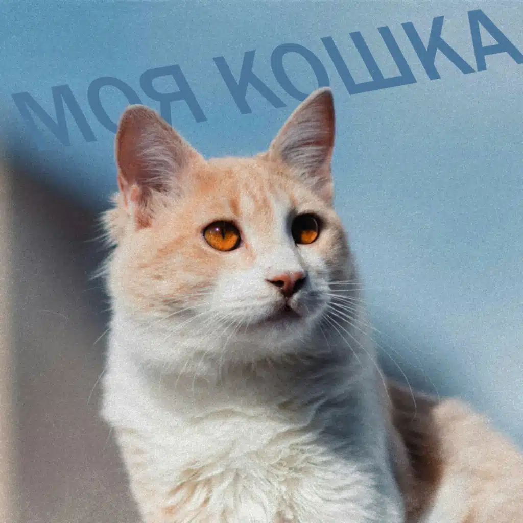 Моя кошка (Slowed + Reverb)