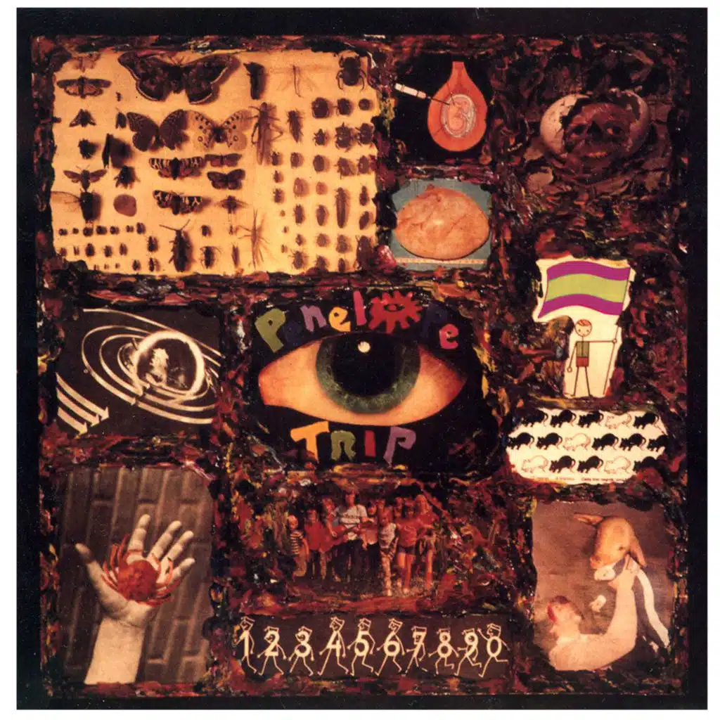 Politomanía / Hammerhead