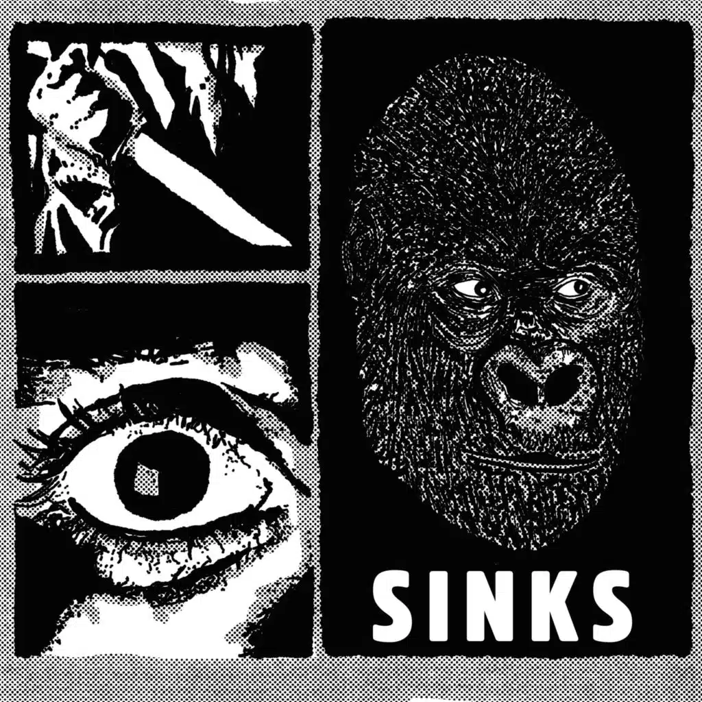 The Sinks