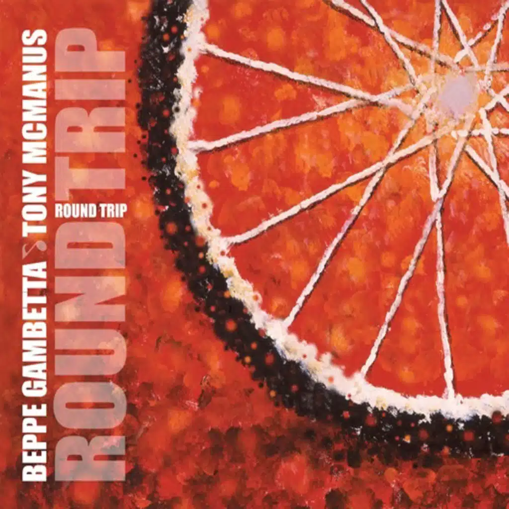 Round Trip (feat. Tony McManus)