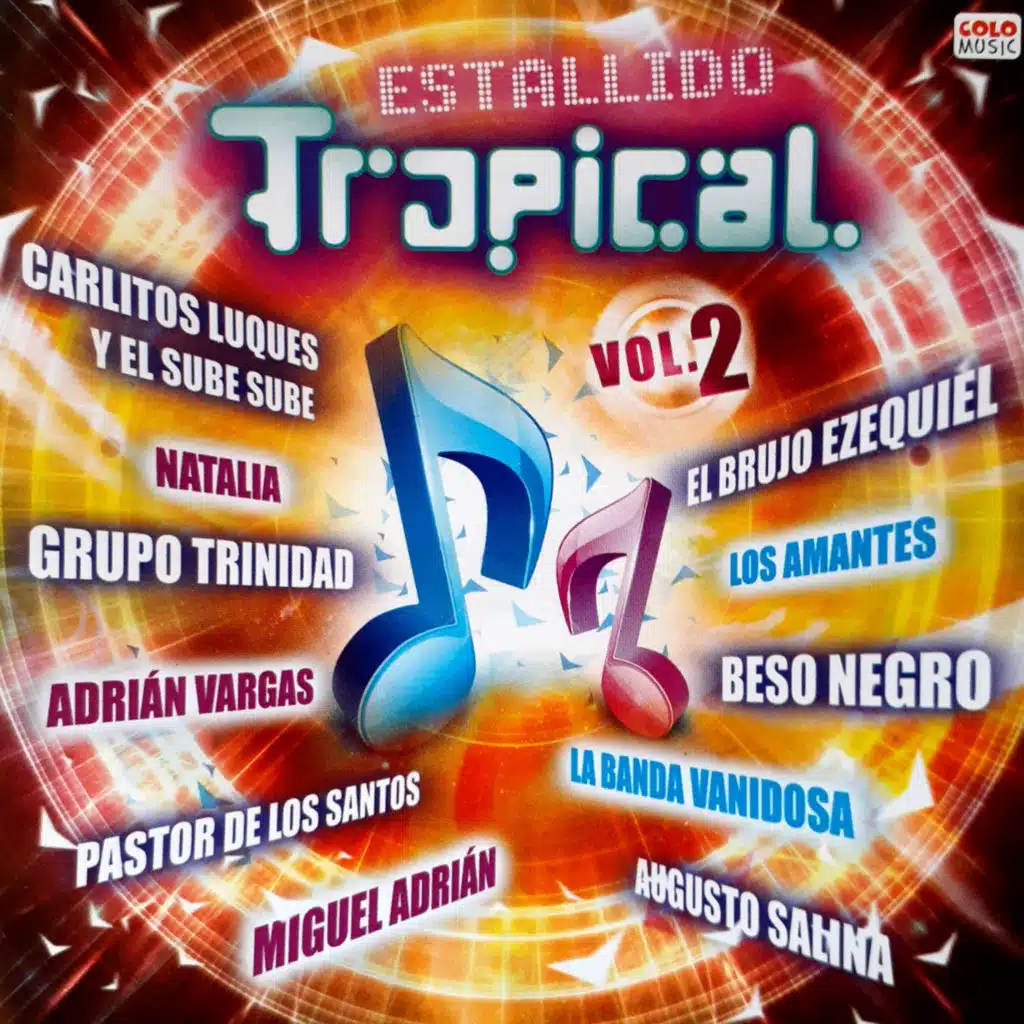 Músico