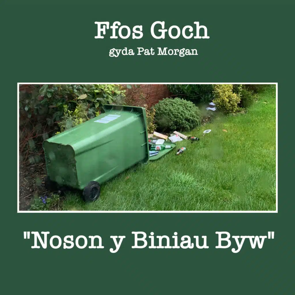 Noson y Biniau Byw (feat. Pat Morgan)