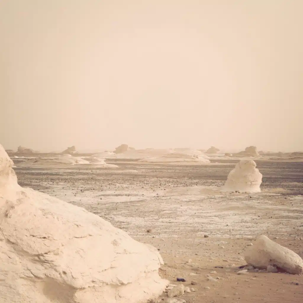 Nefertiti's Cat Tango