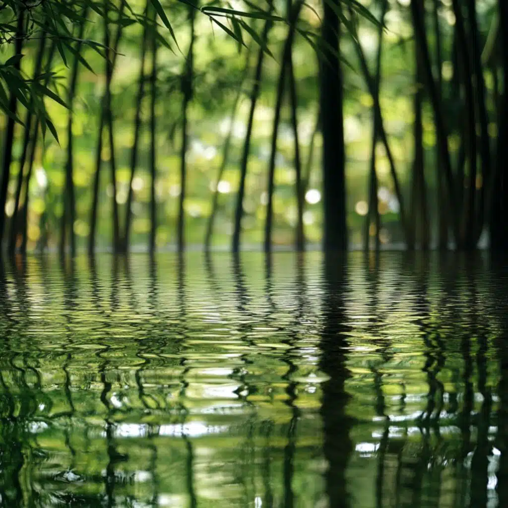 五音调理（听五音补五行养五脏）