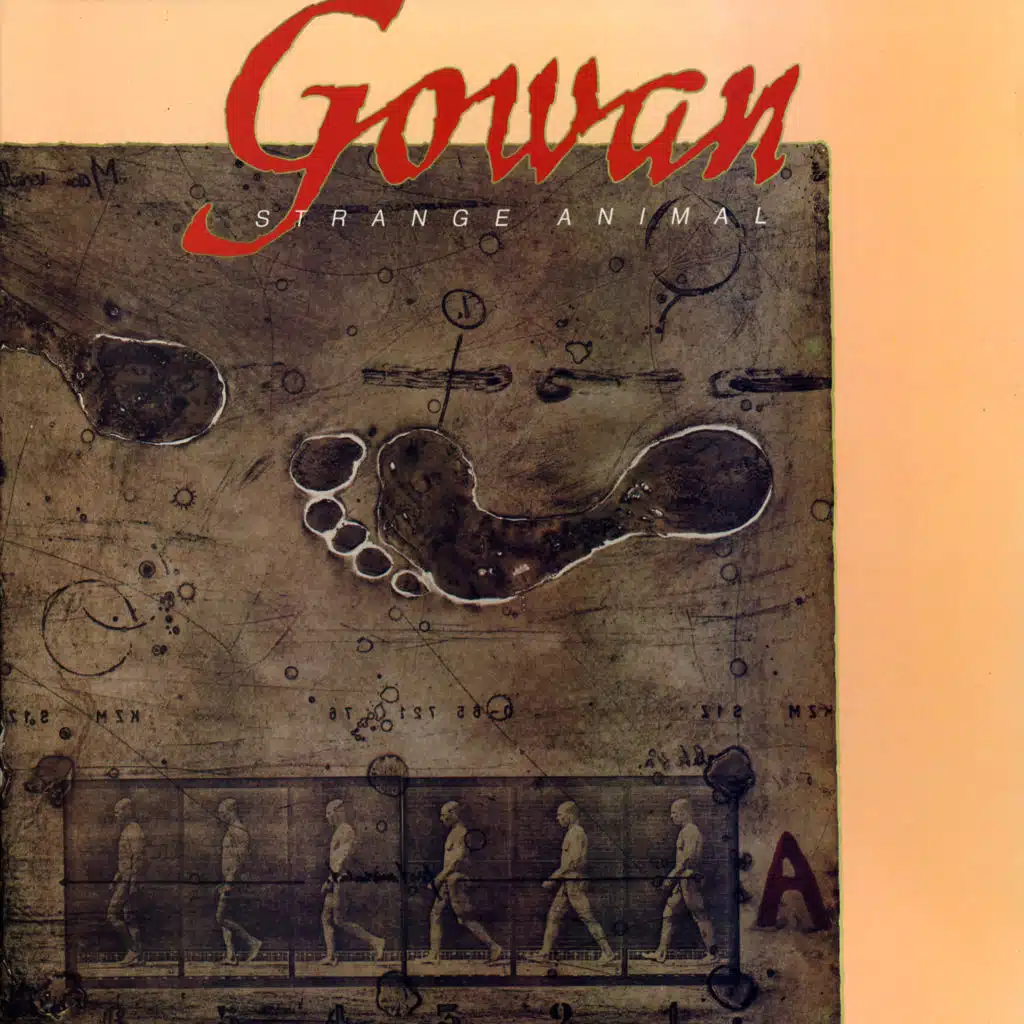 Strange Animal