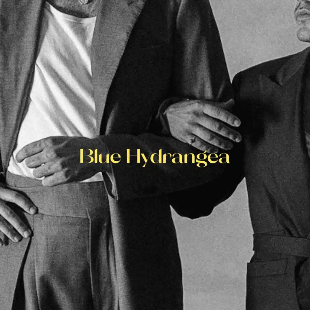 BLUE HYDRANGEA