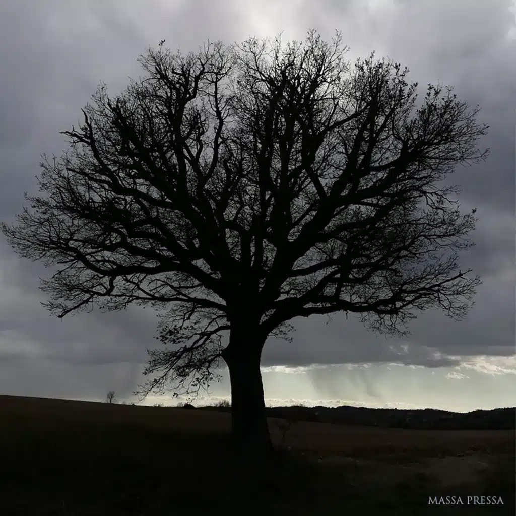 Massa Pressa (Instrumental)