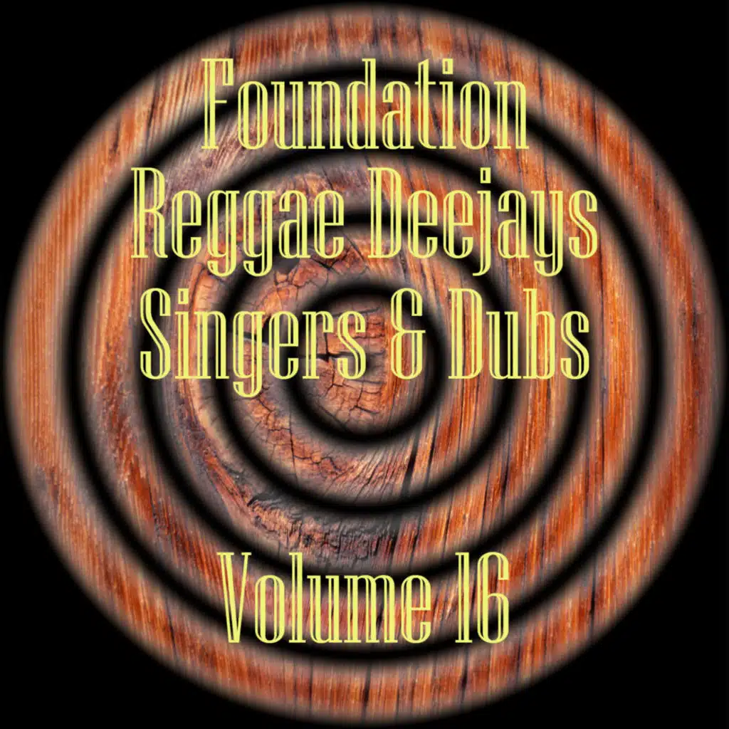 Foundation Deejays Singers & Dubs Vol 16