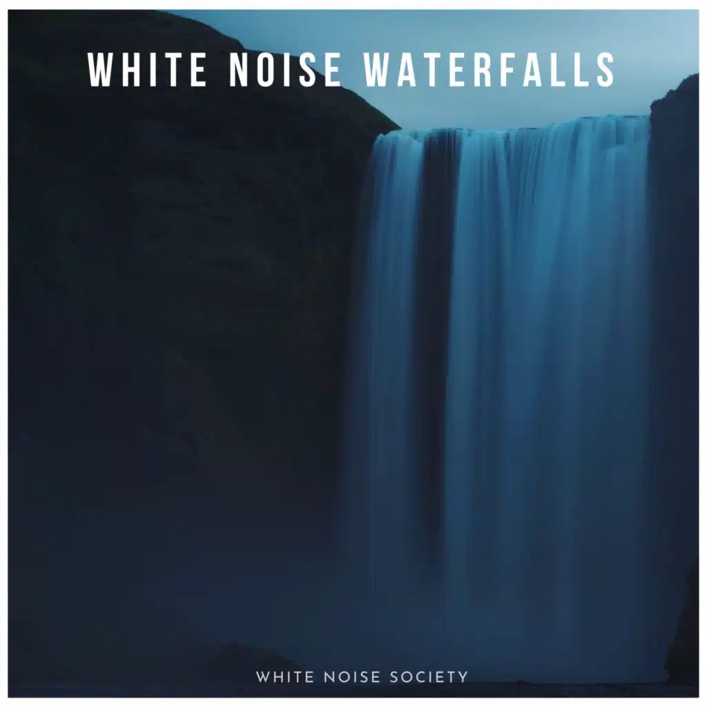 White Noise Society