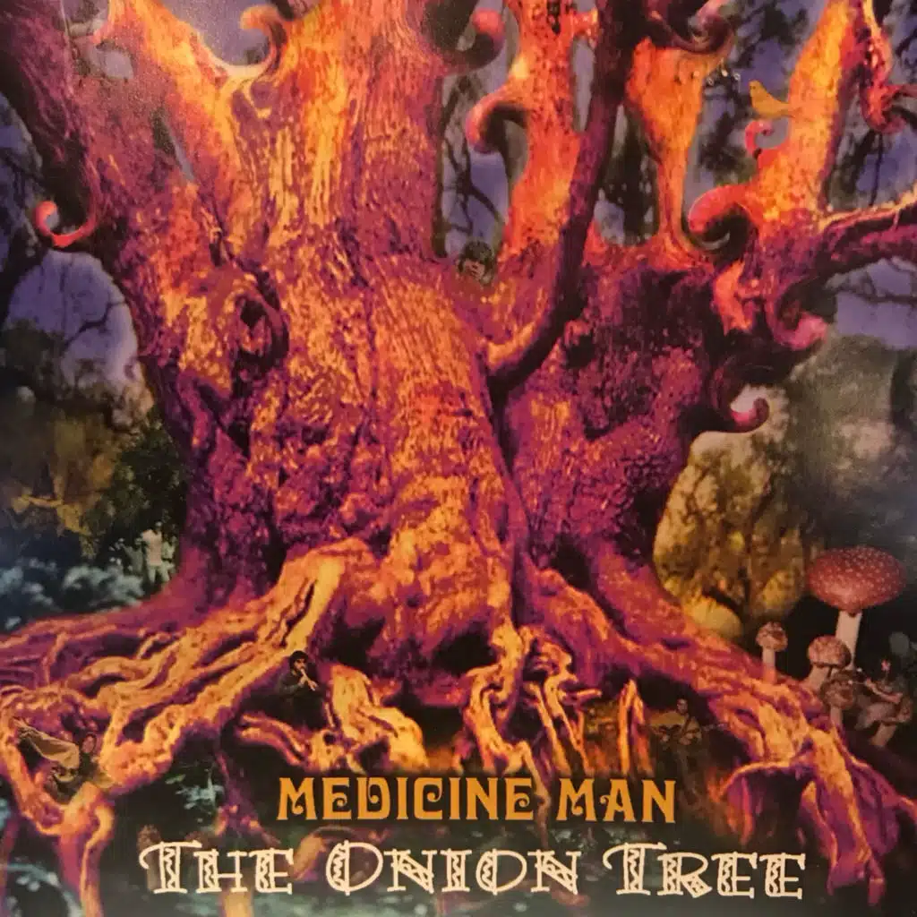 The Onion Tree