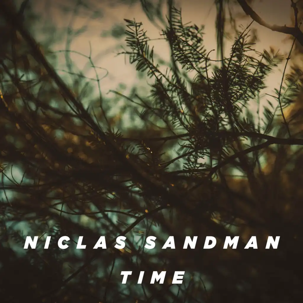 Niclas Sandman