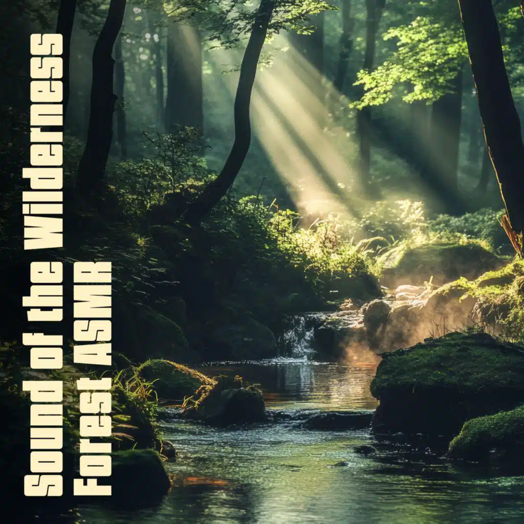 Forest ASMR