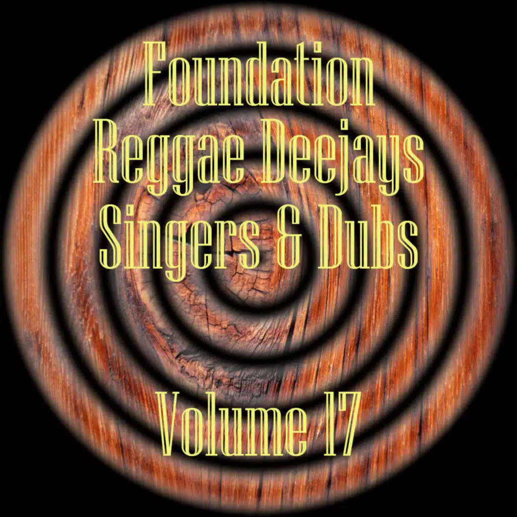 Foundation Deejays Singers & Dubs Vol 17