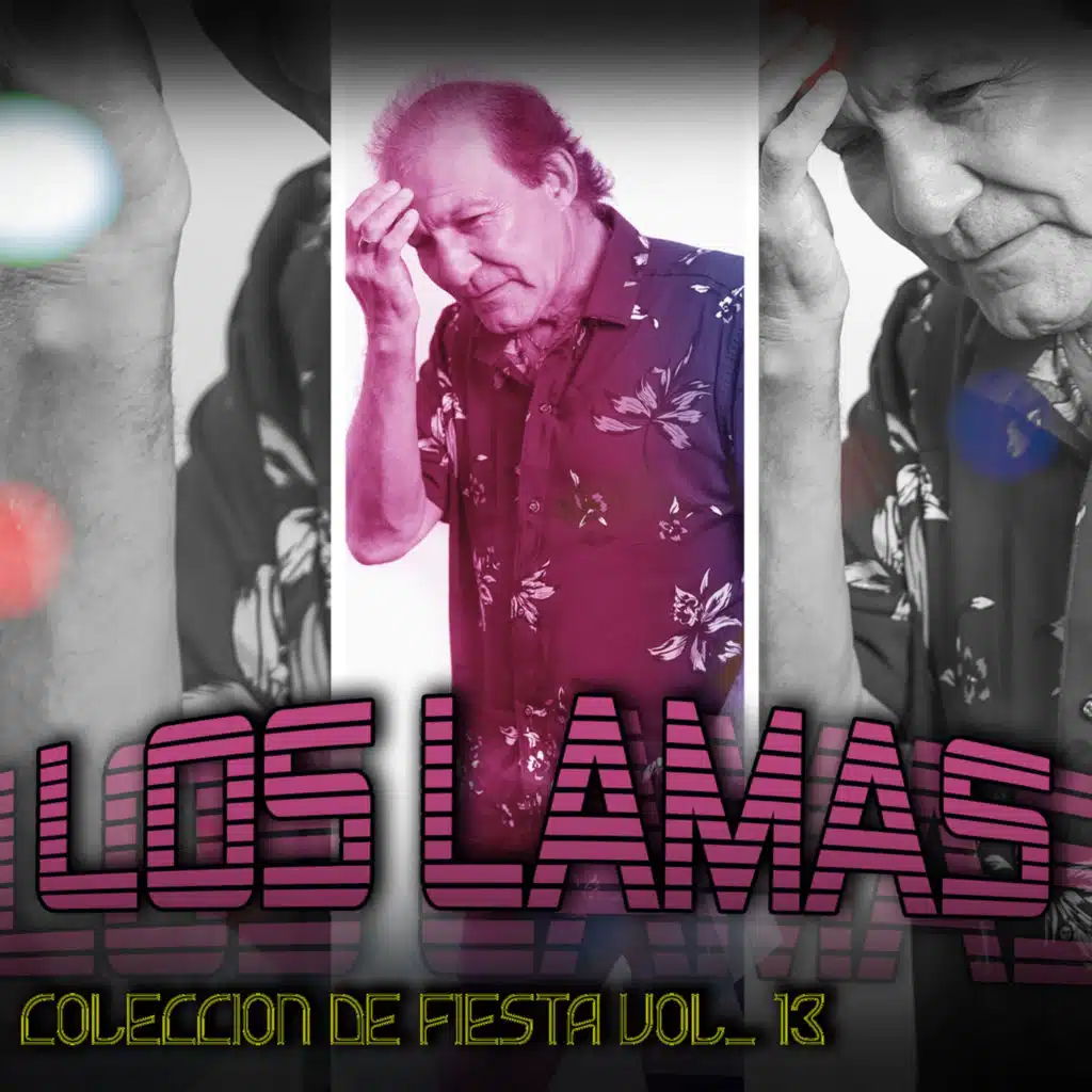 Colección de Fiesta (Vol. 13)