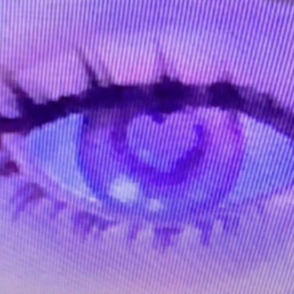 Pretty Face  (Sped up)