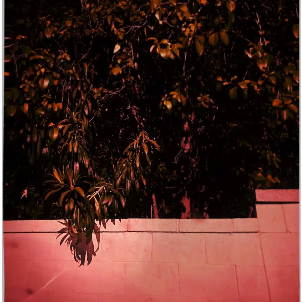 Im In Love (with you)