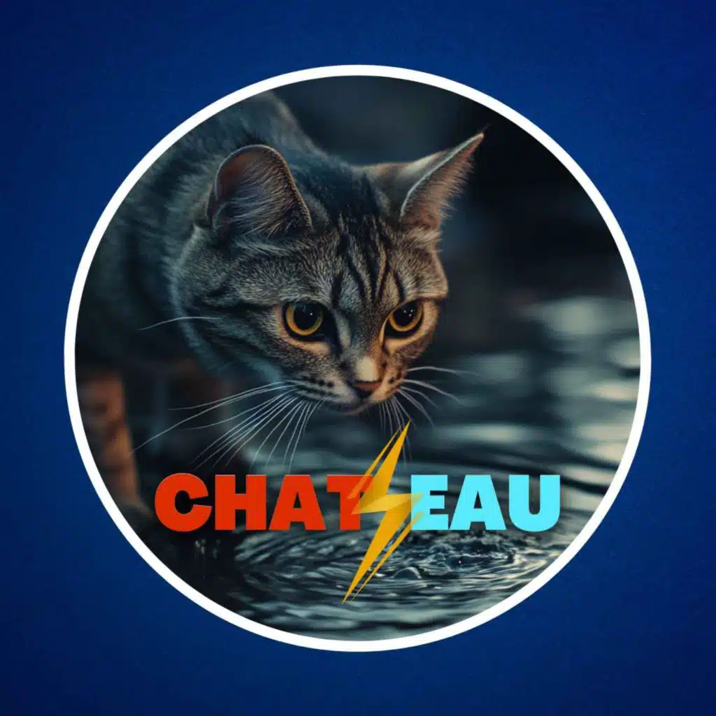 Pourquoi les chats n'aiment-ils pas l'eau ? 💦🙀