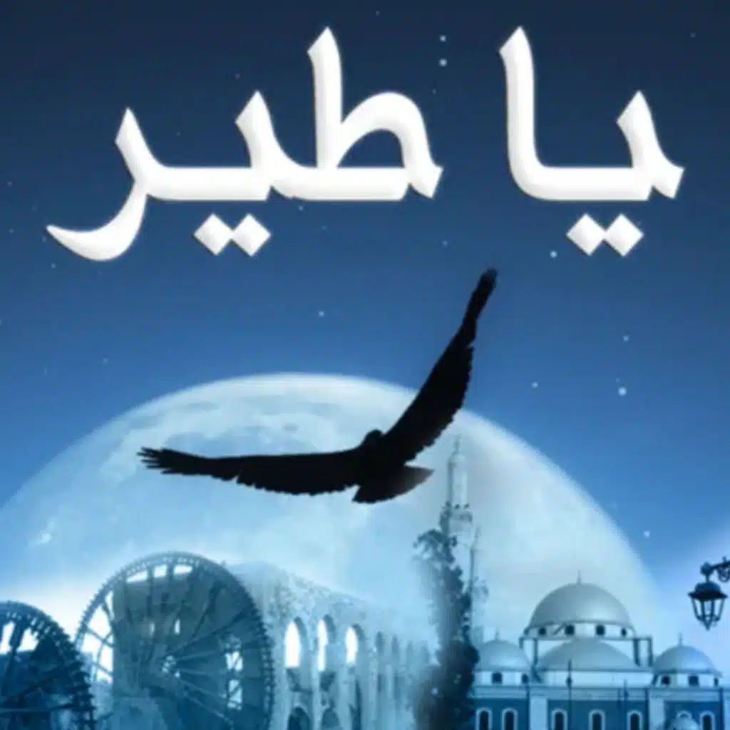 يا طير خدني