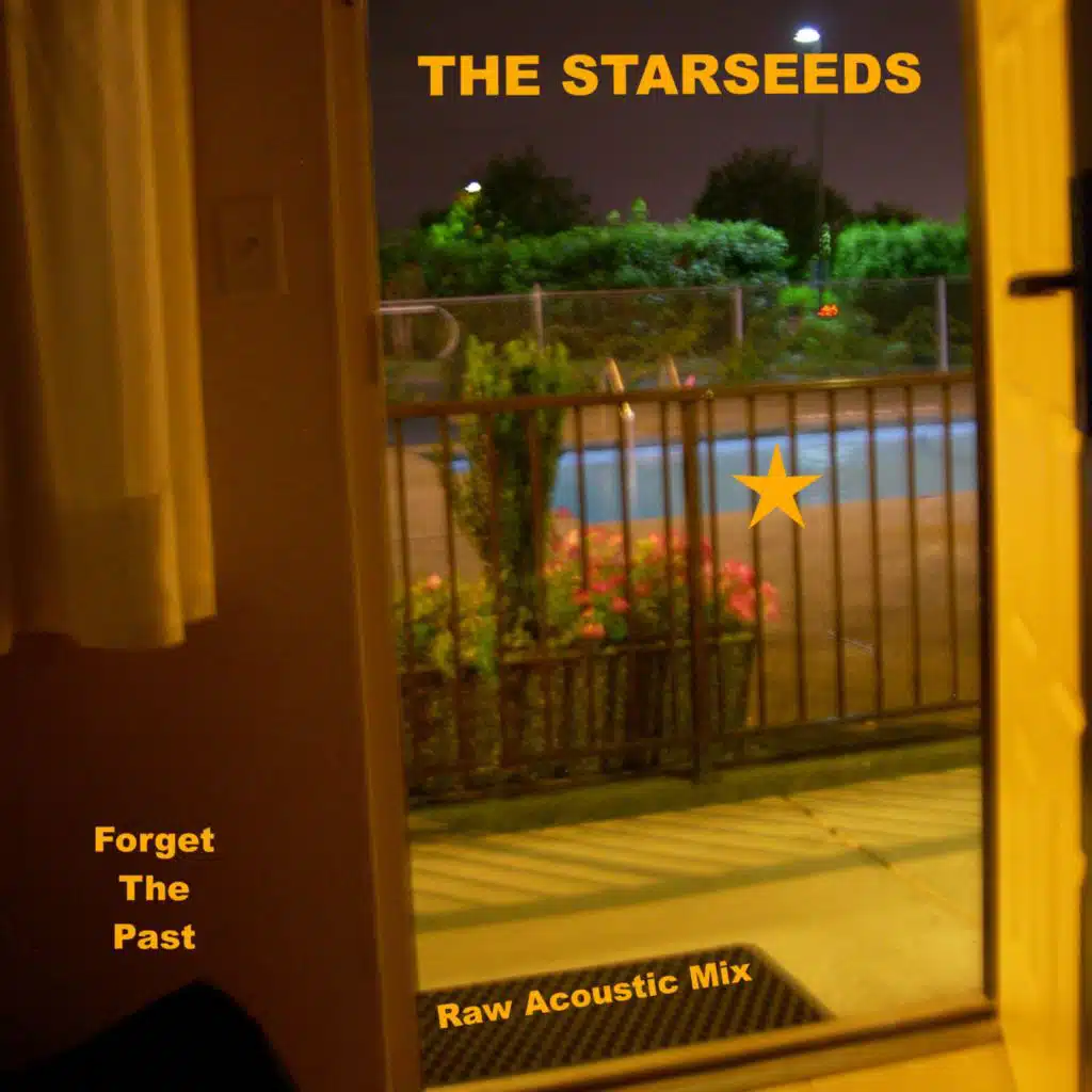The Starseeds
