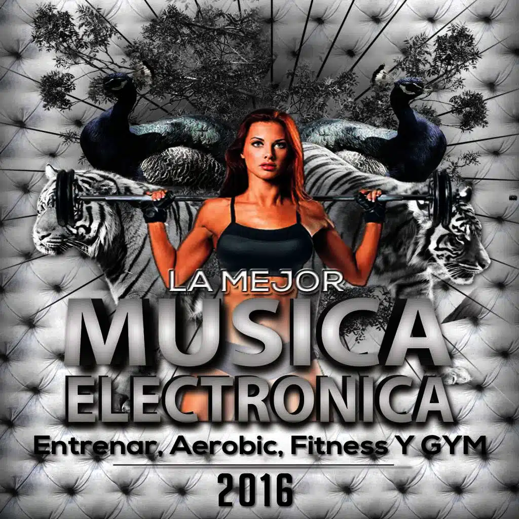 La Mejor Musica Electronica para Entrenar, Aerobic, Fitness Y Gym 2016