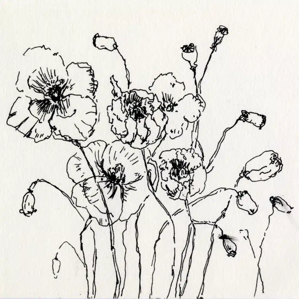 Idema/Serierse Quartet