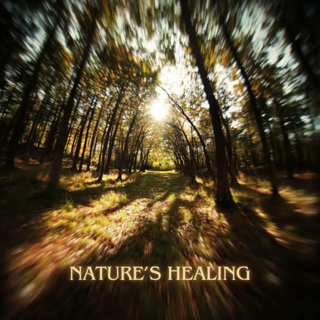 Moon Samples, Path to the Wild & Nature Therapy