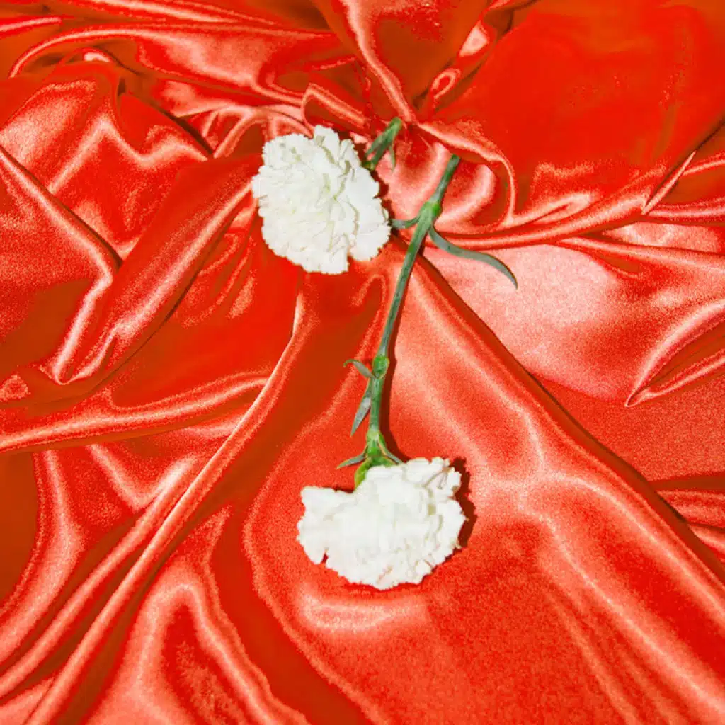 Entre Sedas Live Sessions