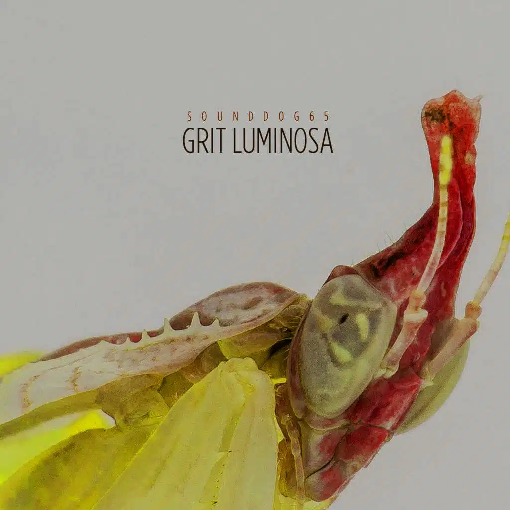 Grit Luminosa