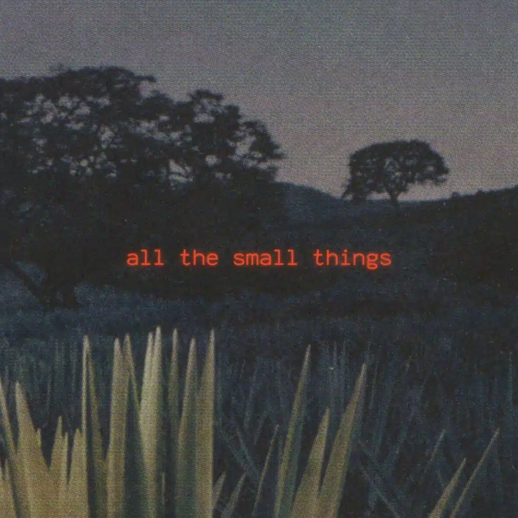 All The Small Things