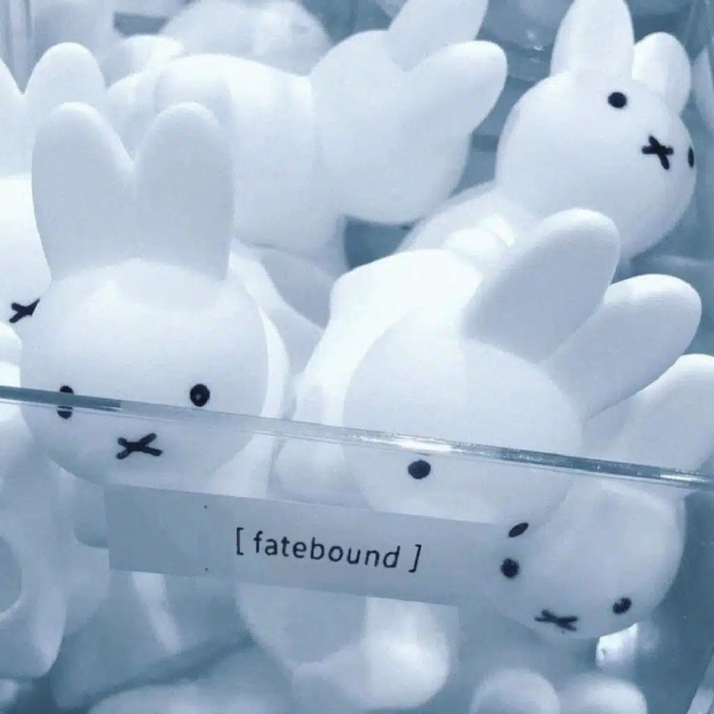 Fatebound