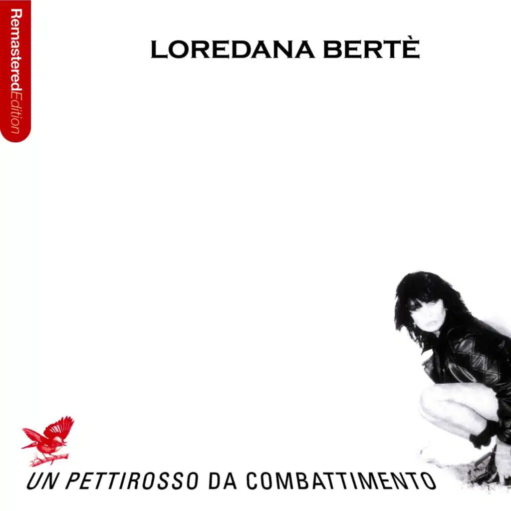 Un pettirosso da combattimento