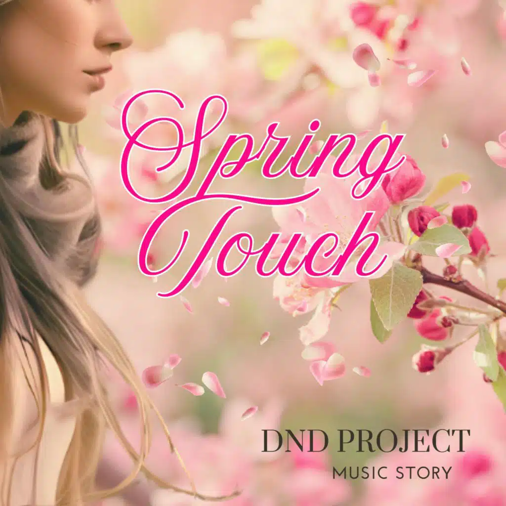 DnD Project 디앤디 프로젝트